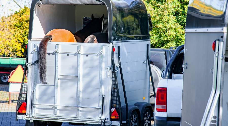 Aanhanger voor paarden
