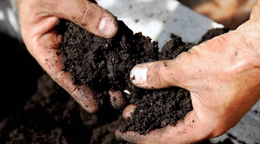 10 tips voor een onderhoudsvrije tuin