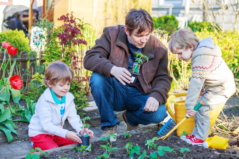 Moestuin aanleggen: vind je inspiratie