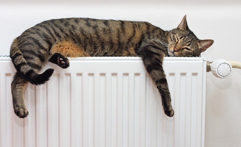 Verwarming bijvullen en ontluchten