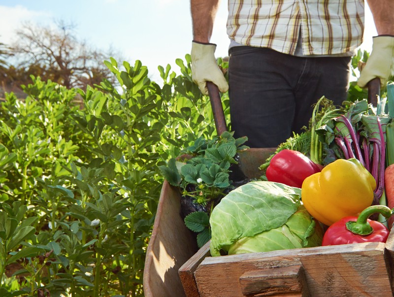 10 tips voor een duurzame tuin 10 tips voor een duurzame tuin